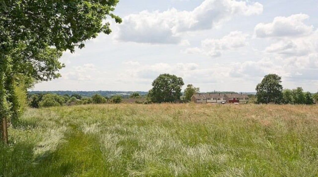 Field west of Claylands Local Nature Reserve The houses beyond are part of Cunningham Avenue.
