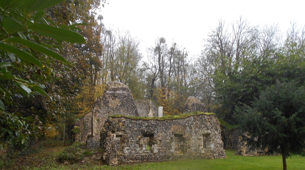 Ruined Norman hall St John's House, Warnford, Hampshire.