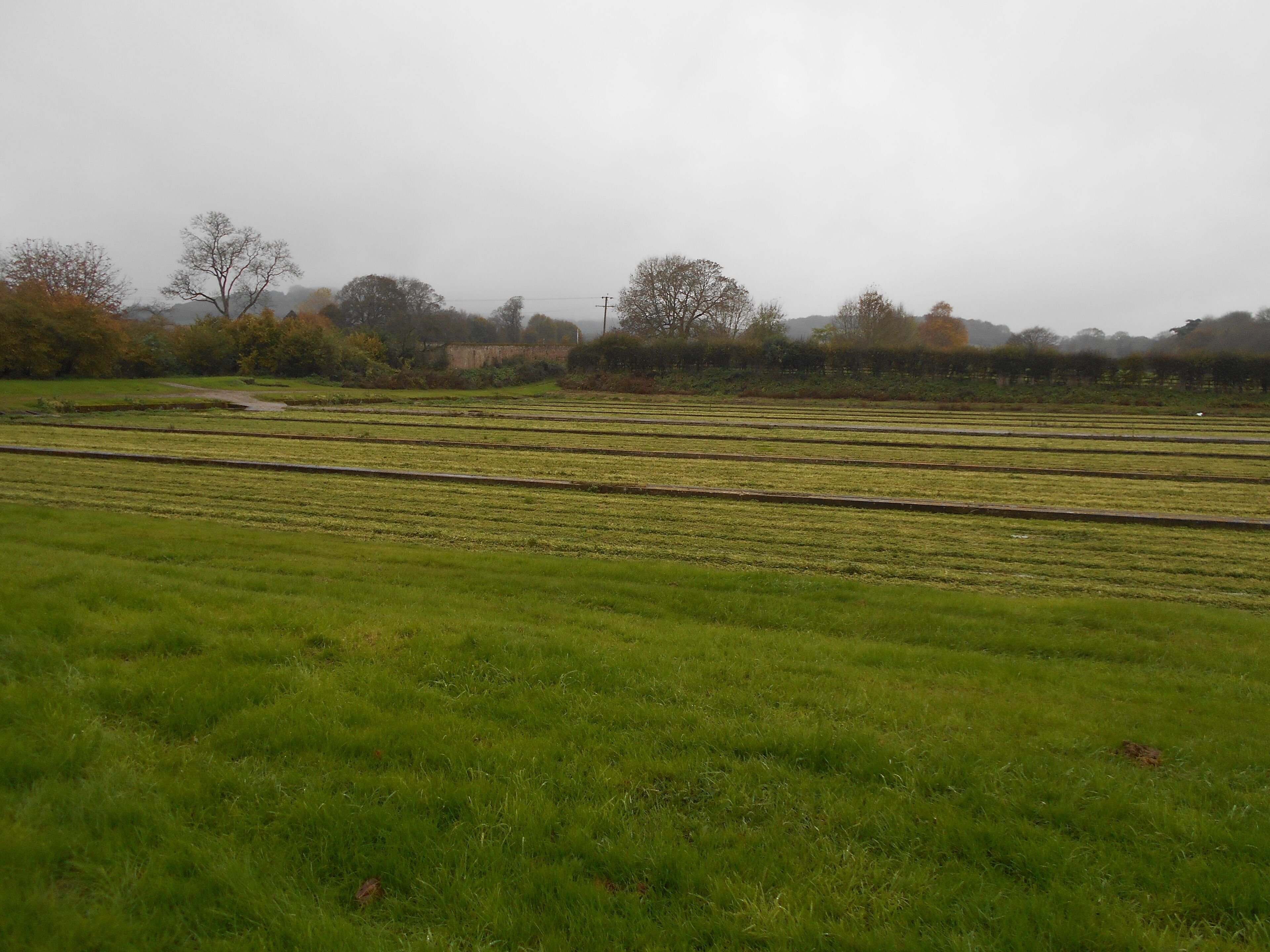 Watercress beds in Warnford, Hampshire.