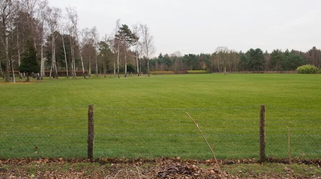 Garden adjacent to Clump Inn Football Ground, Chilworth Park-like garden apparently attached to a private house. There is a path in the foreground running between parallel fences, not shown on Magic.