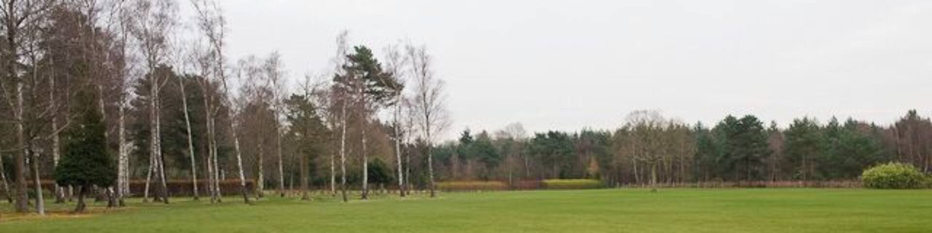 Garden adjacent to Clump Inn Football Ground, Chilworth Park-like garden apparently attached to a private house. There is a path in the foreground running between parallel fences, not shown on Magic.