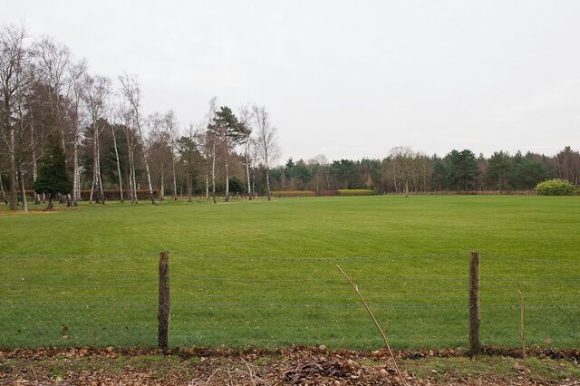 A grassy field with a wooden fence and leafless trees in the background.