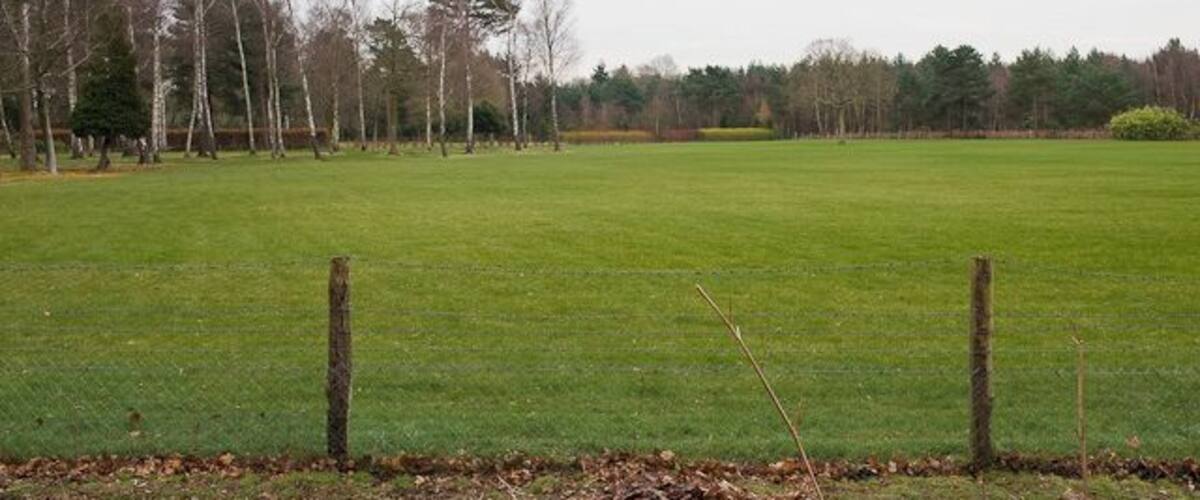 A grassy field with a wooden fence and leafless trees in the background.