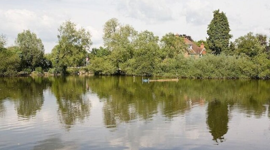 Looking across the lake from Station Road, Bishop's Waltham There are two lakes, one north of the B2177 and the other south. This is the lower, southern one. It is man made, Station Road being a kind of dam.