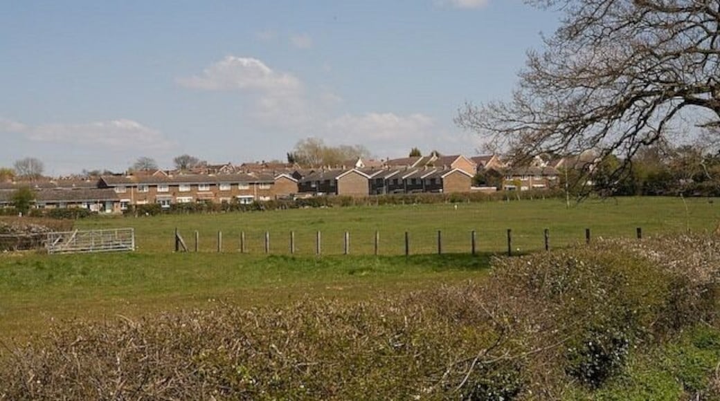 Housing in Spring Vale, Swanmore Seen from The Lakes (an un-madeup lane).