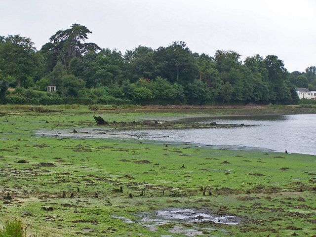 Wreck of the 'Norseman' Roughly central in this picture is the remains of the 'Norseman' - a wooden ship built 1847, but gutted by fire during World War Two and beached on the intertidal mud on the River Hamble foreshore.