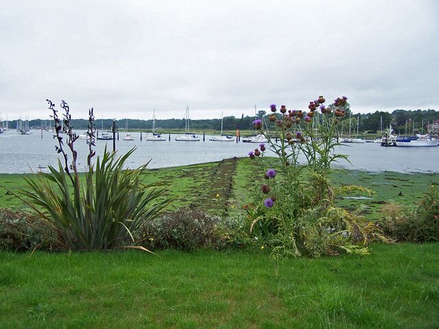 River Hamble foreshore Oversize garden plants, with beyond them, the remains of a jetty extending over the mud into the River Hamble.