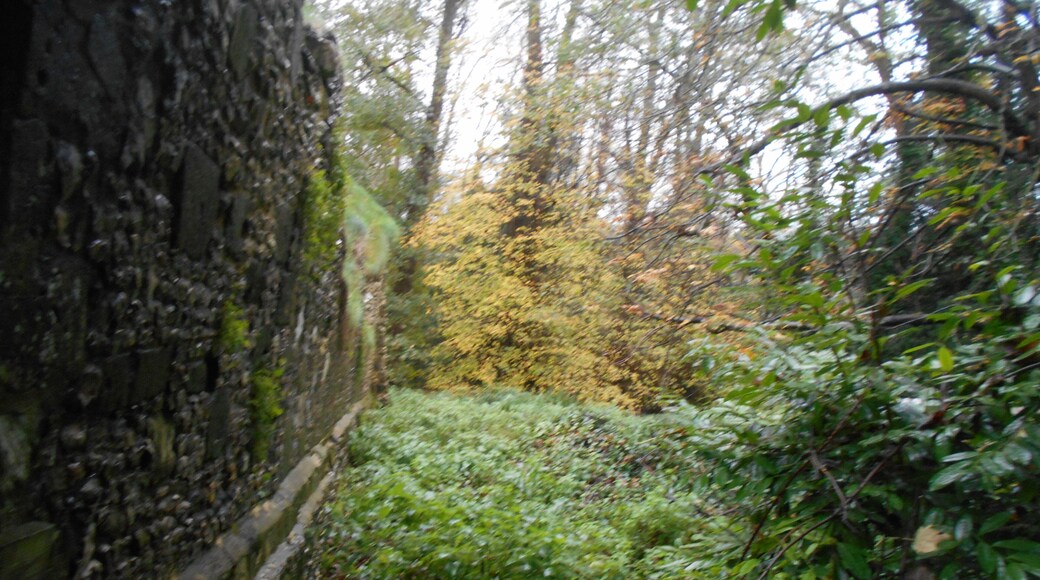 Ruined Norman hall St John's House, Warnford, Hampshire.
