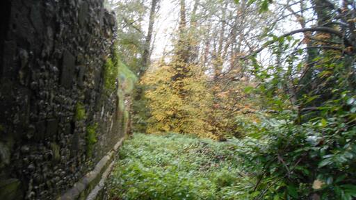 Ruined Norman hall St John's House, Warnford, Hampshire.