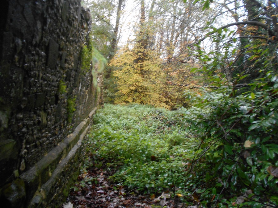 Ruined Norman hall St John's House, Warnford, Hampshire.