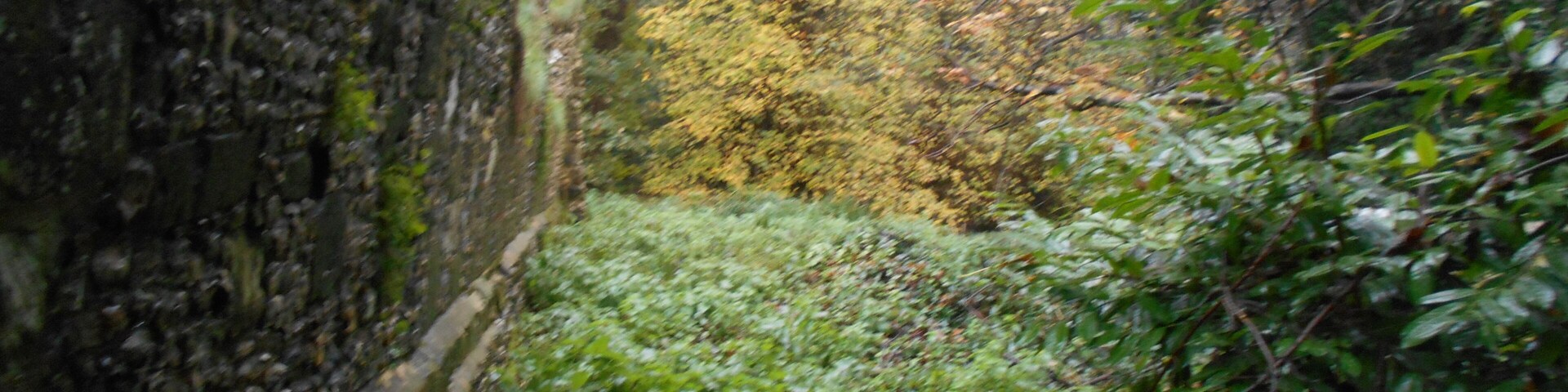 Ruined Norman hall St John's House, Warnford, Hampshire.