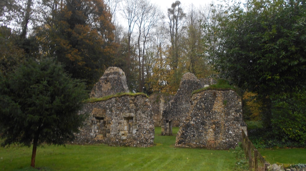 Ruined Norman hall St John's House, Warnford, Hampshire.