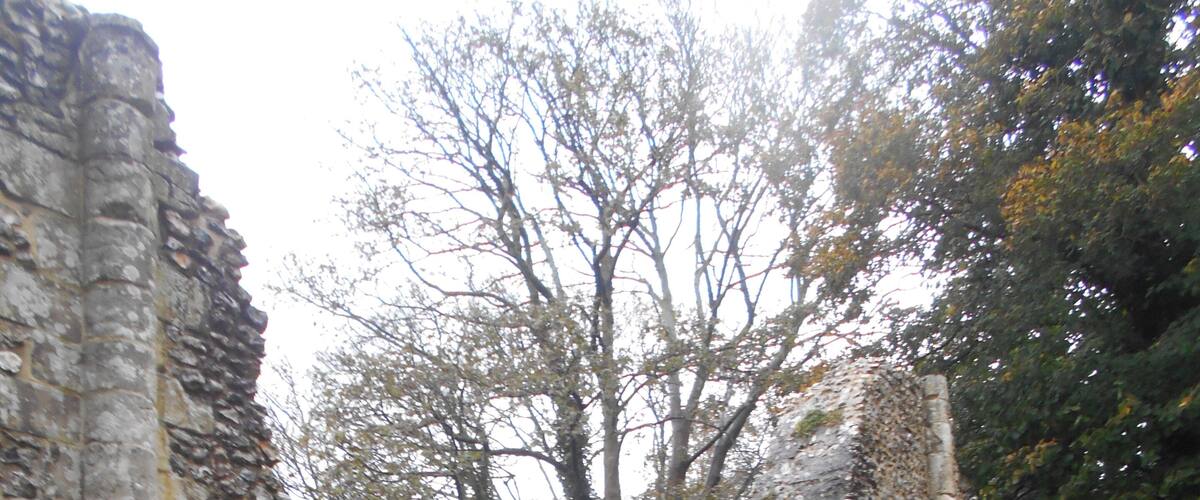 Een oud stenen gebouw met een grote boog en een hoge pilaar, omgeven door bomen en gras.