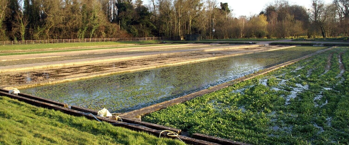 The Watercress beds in Warnford, Hampshire