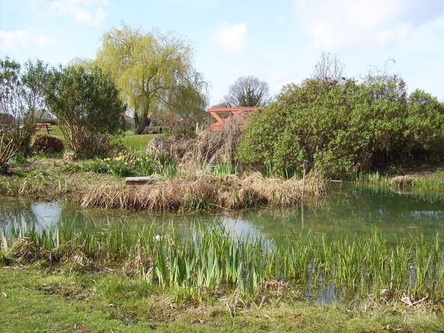Pond in the park Totton, near Southampton Small pond which leads on under the bridge into a slightly larger expanse beyond. A moorhen is raising a small family this side, whilst a mallard has a much larger brood on the area beyond the bridge.