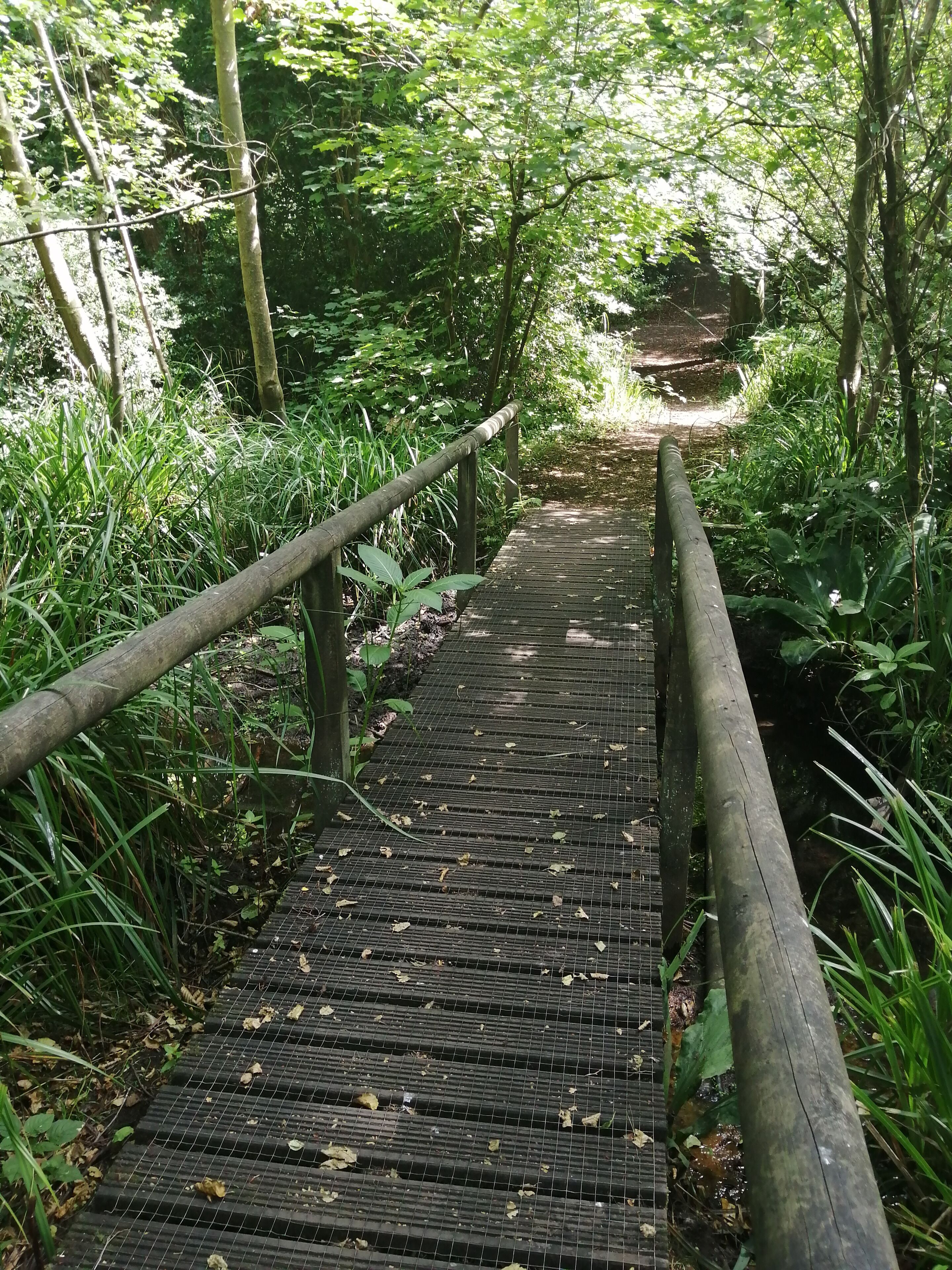 Beautiful Sunday afternoon walk