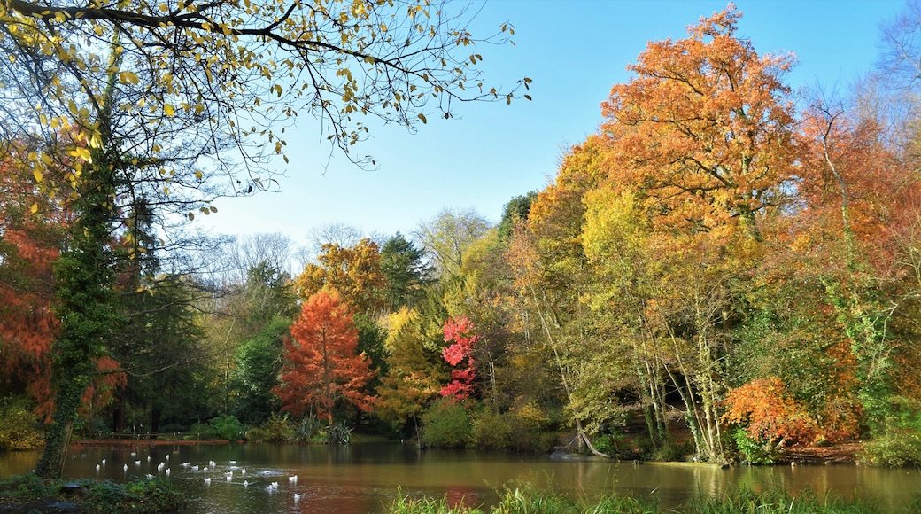 A place to walk with nature