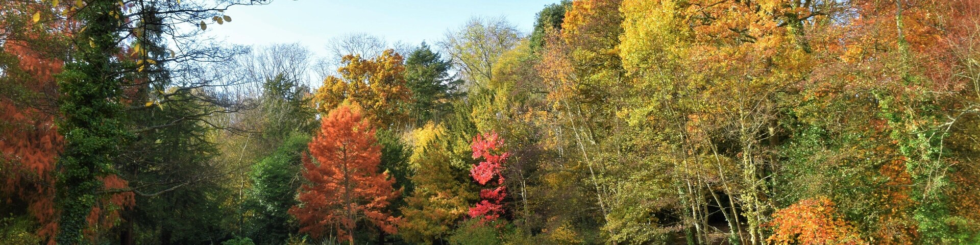 A place to walk with nature