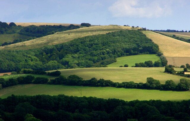 Old Winchester Hill View of the Old Winchester Hill spur (and hillfort) across the Meon valley from the South Downs Way (descending from Beacon Hill to Exton village). The South Downs Way national trail crosses the Meon valley and ascends Old Winchester Hill to the right of the wooded area.