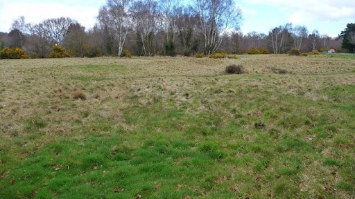 Shedfield - Common A view across Shedfield common.