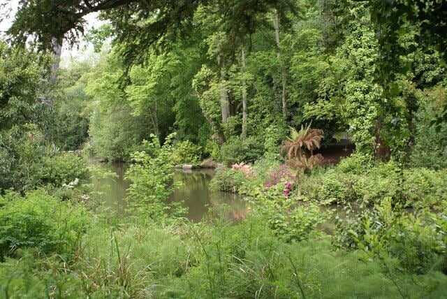 The Lake, Holly Hill Water with a profusion of foliage.