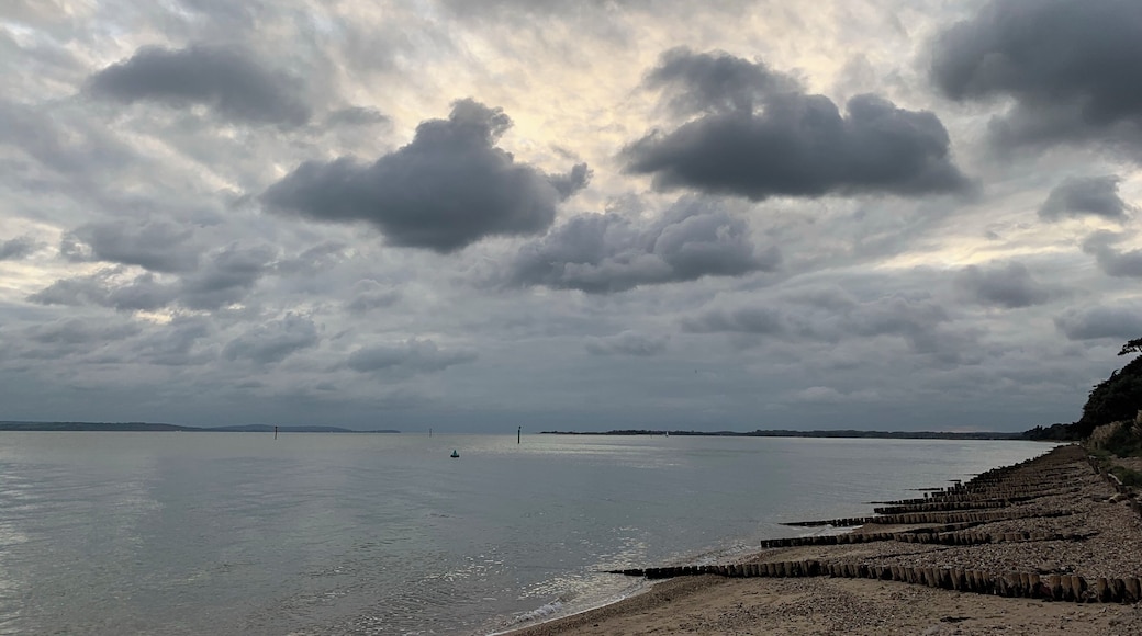 Waiting for some colour