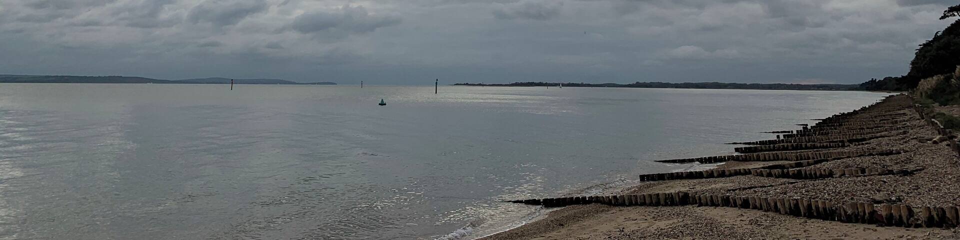 Waiting for some colour