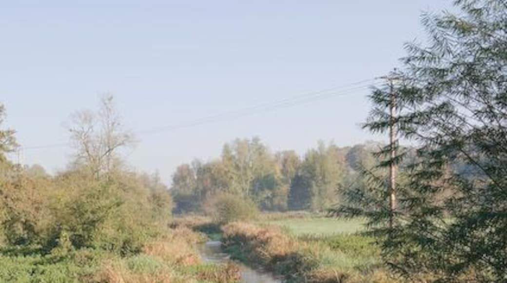 River Meon seen from Brock Bridge on the B2150