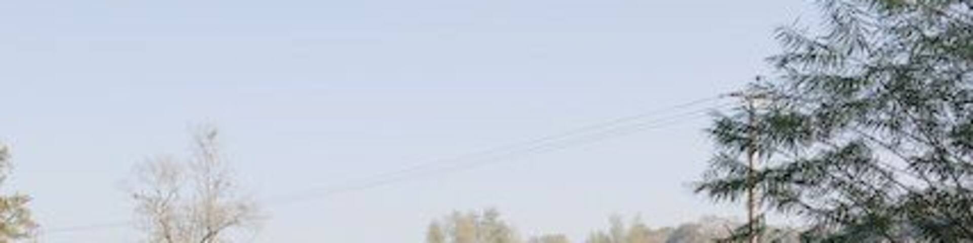 River Meon seen from Brock Bridge on the B2150