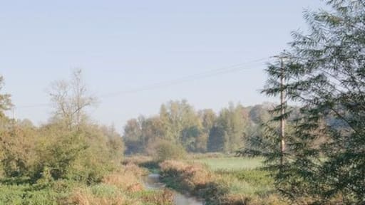 River Meon seen from Brock Bridge on the B2150