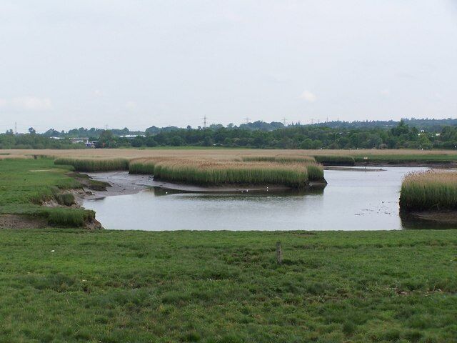 Tidal marshland, River Test View north from the A35 near Redbridge