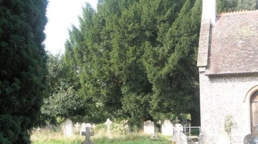 Seat in the churchyard at St Barnabas, Swanmore