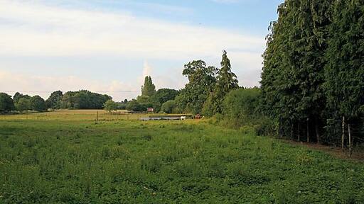 Fields along western side of Little Bull Lane, Waltham Chase. Seen from footpath that goes from Meon Valley Golf Course up the lane. The footpath and lane follow the line of trees at right.