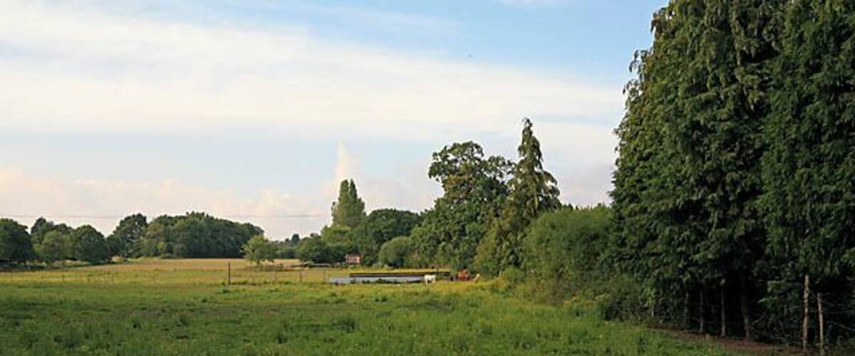 A green field with trees and a building in the distance.