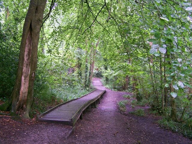 Path in the woodland park Holly Hill woodland park belongs to Fareham Borough Council, and is 35 hectares of historic parkland stretching down to the River Hamble. Here, a walkway has been built over an often muddy stretch of footpath.