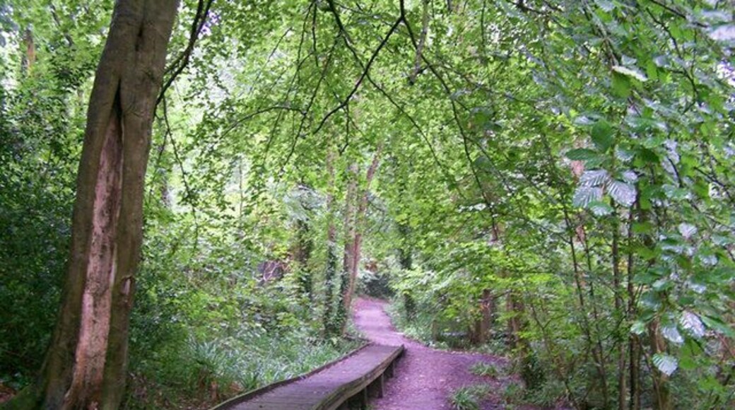 Path in the woodland park Holly Hill woodland park belongs to Fareham Borough Council, and is 35 hectares of historic parkland stretching down to the River Hamble. Here, a walkway has been built over an often muddy stretch of footpath.