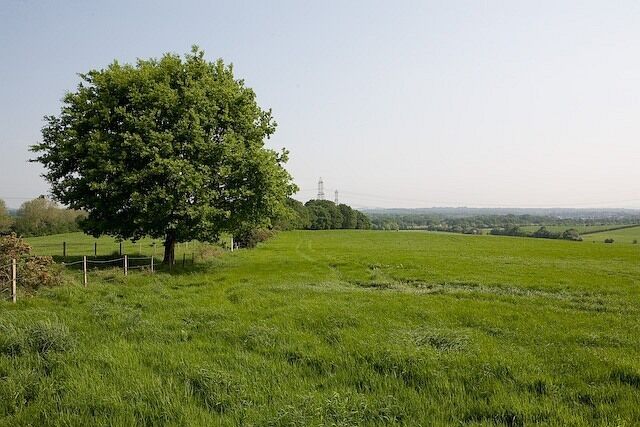 Fields east of bridleway to Castle Lane The bridleway runs between fences on the left.