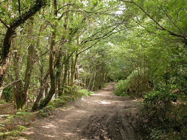 Roman Road Chilworth - September