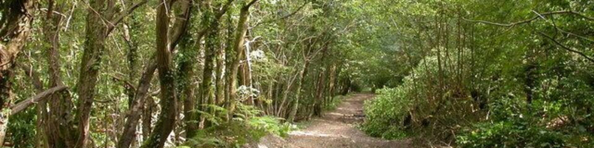 Roman Road Chilworth - September