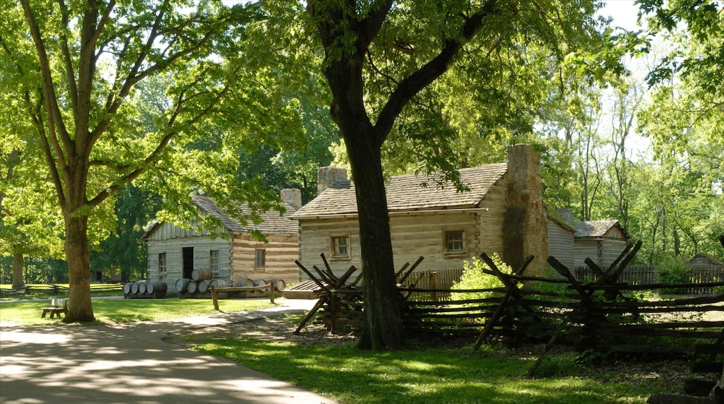 Springfield mostrando un pueblo y una casa