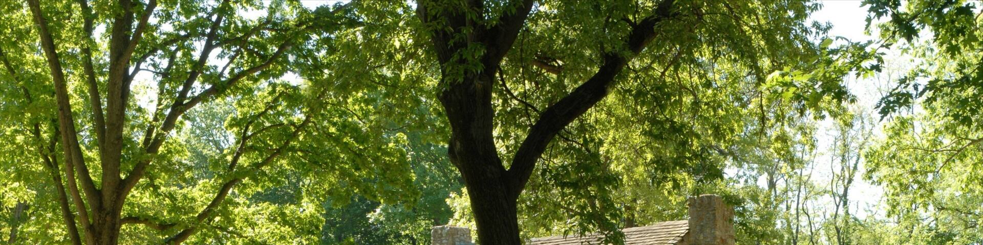 Springfield showing a small town or village and a house