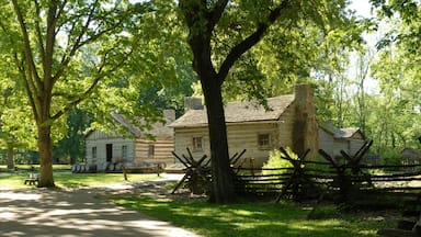 Springfield showing a small town or village and a house