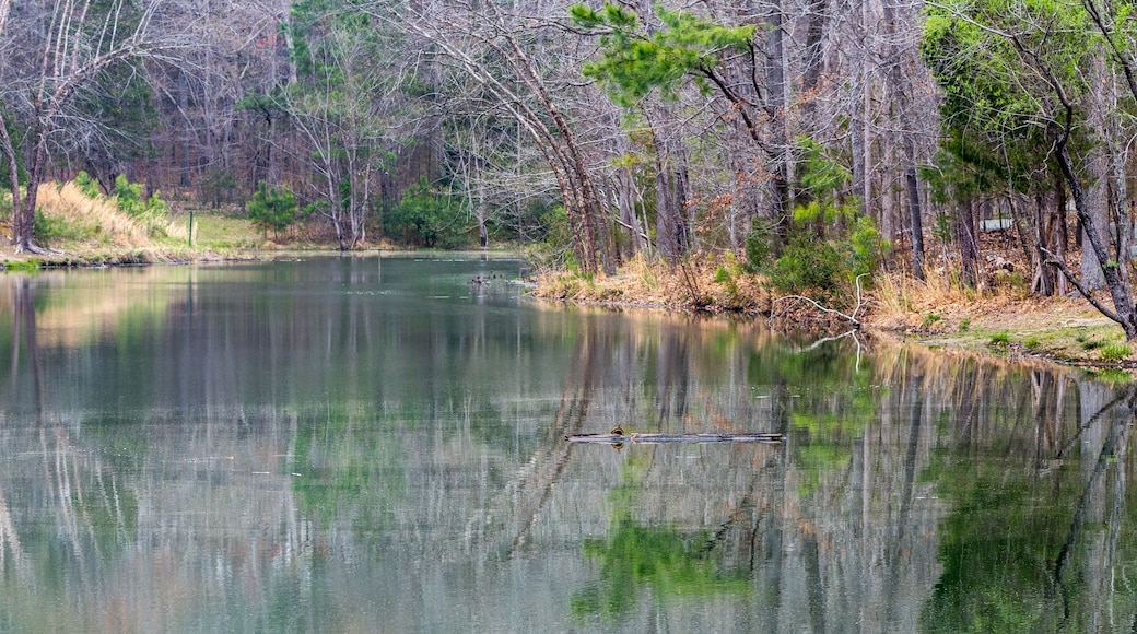 Scenes of small lake in fall