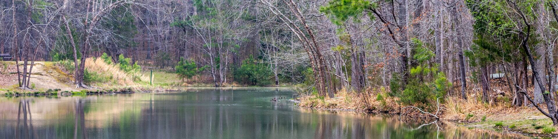 Scenes of small lake in fall
