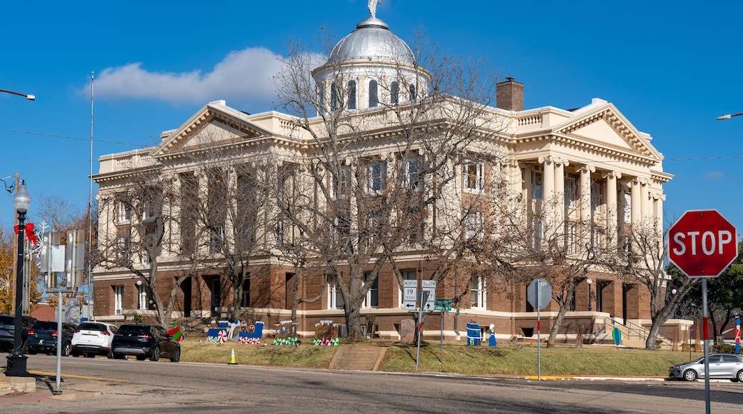 Anderson County Courthouse in Palestine, Texas