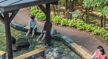 Foot bath at Jozankei Onsen near Sapporo, Hokkaido. An onsen is a natural hot water bath. Foot baths, thankfully, are free. There are several onsen in Jozankei, most associated with hotels. However many can be visited on a casual basis.