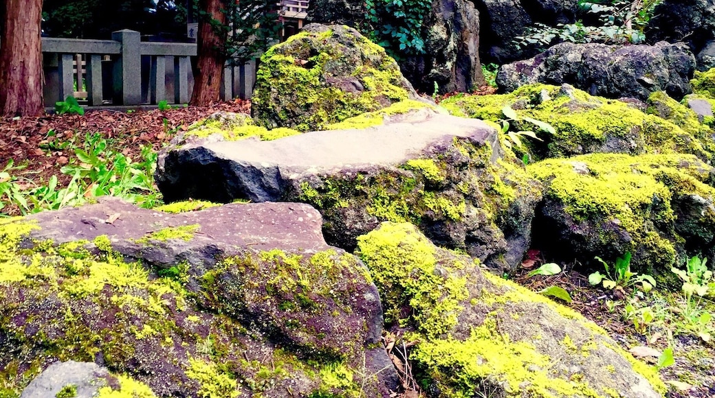 Hotaki Shrine(穂多木神社)Hokkaido-Jingu Shrine precinct.
http://www.hokkaidojingu.or.jp/eng/index.html