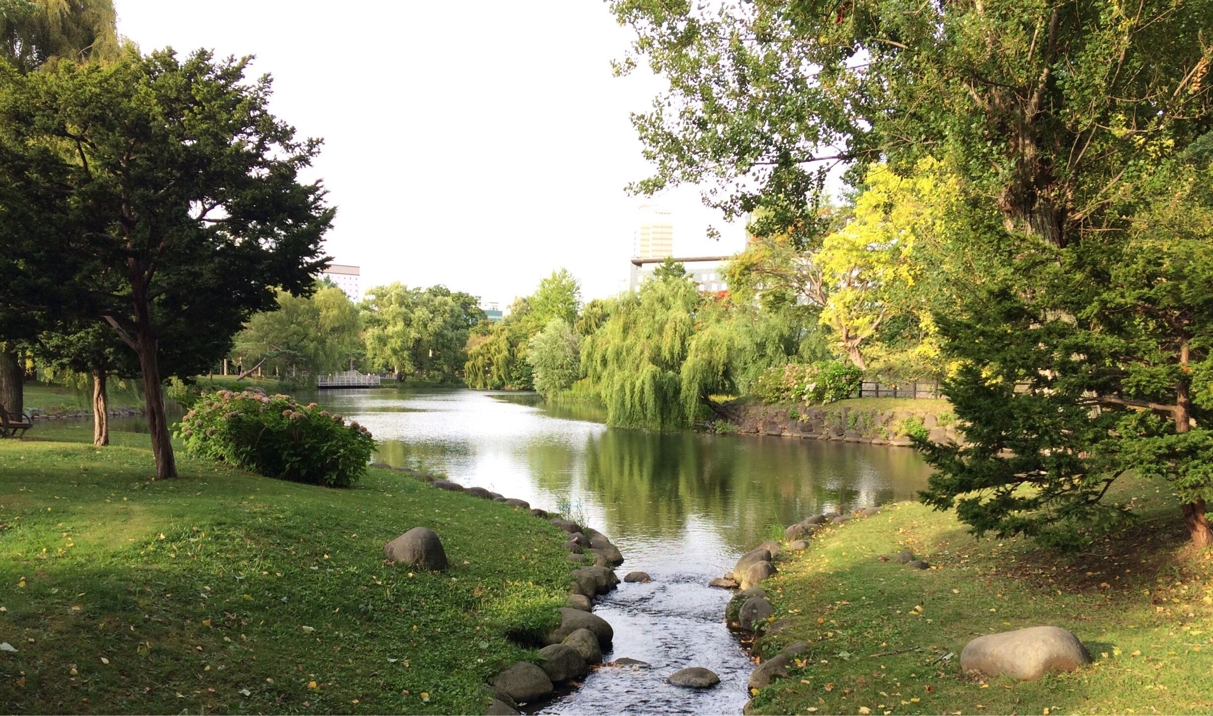 Un río que serpentea por un parque con árboles y rocas.