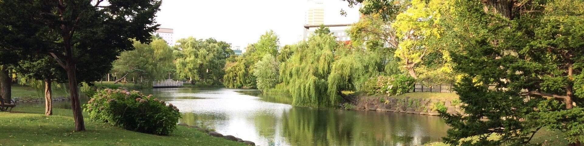 Un río que serpentea por un parque con árboles y rocas.