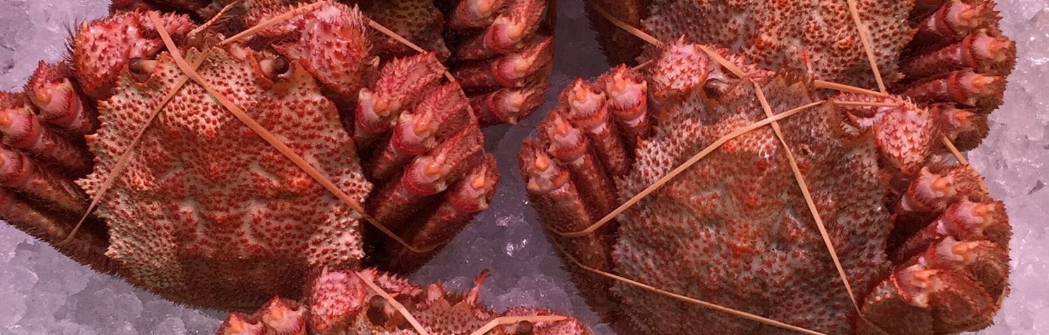 My most favorite crab and food in Sapporo. They comes in sizes of 400-700 grams each and prices ranges as low as ¥1000-6000 depending on size and freshness. Standard prices are those that can be eaten within next five days if I am not mistaken and they are ready to be eaten cold. I like it when I could micro wave it a little but still cold was fine as I have had them 3x on this trip! Usually when it's full price it is freshest and sweetest! Love it!
#delicious